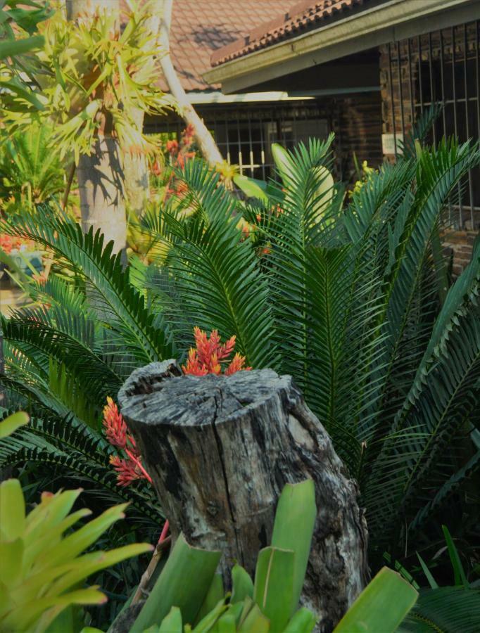 Saint Lucia Estuary Buya Futhi Bed & Breakfast المظهر الخارجي الصورة